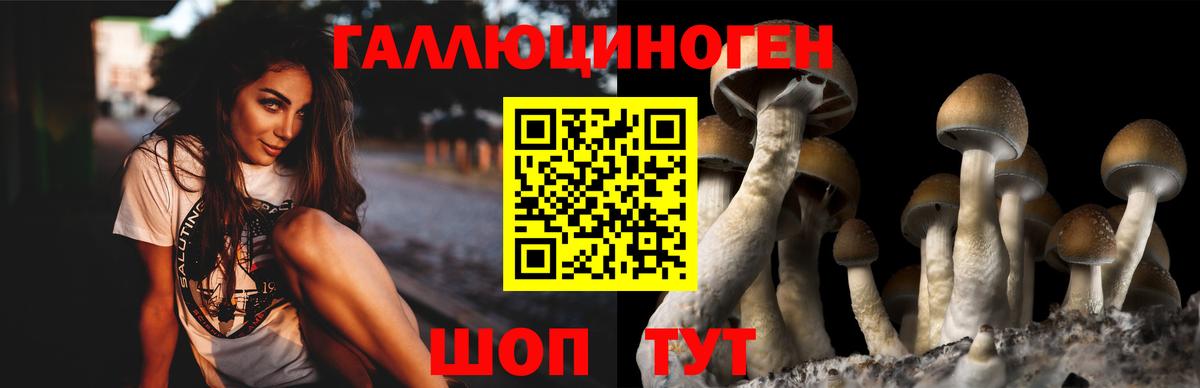 Йошкар-Ола  Галлюциногенные грибы Psilocybe  Вход с VPN  Псилоцибиновые грибы Cubensis 
